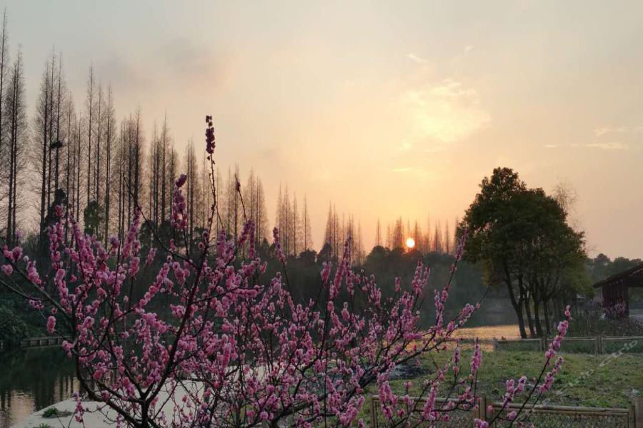 Taoyuan Shuixiang Hotel Chongming Ngoại thất bức ảnh